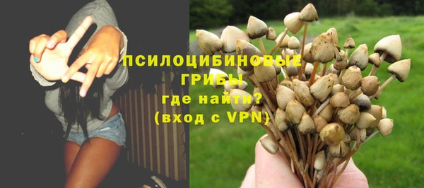 бутират Инта