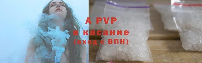 ПСИЛОЦИБИНОВЫЕ ГРИБЫ Иннополис