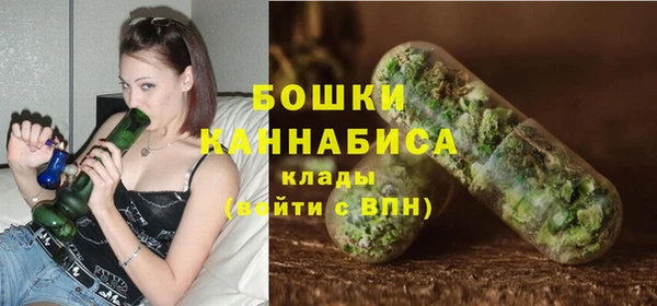 ПСИЛОЦИБИНОВЫЕ ГРИБЫ Иннополис