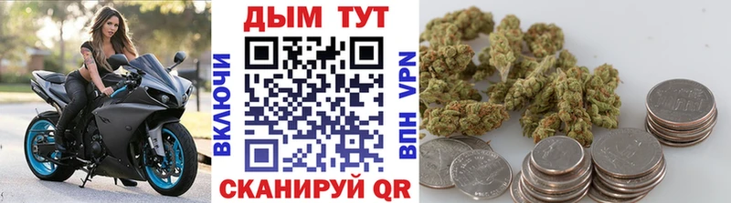 Конопля индика  Купить закладки  Кадников 